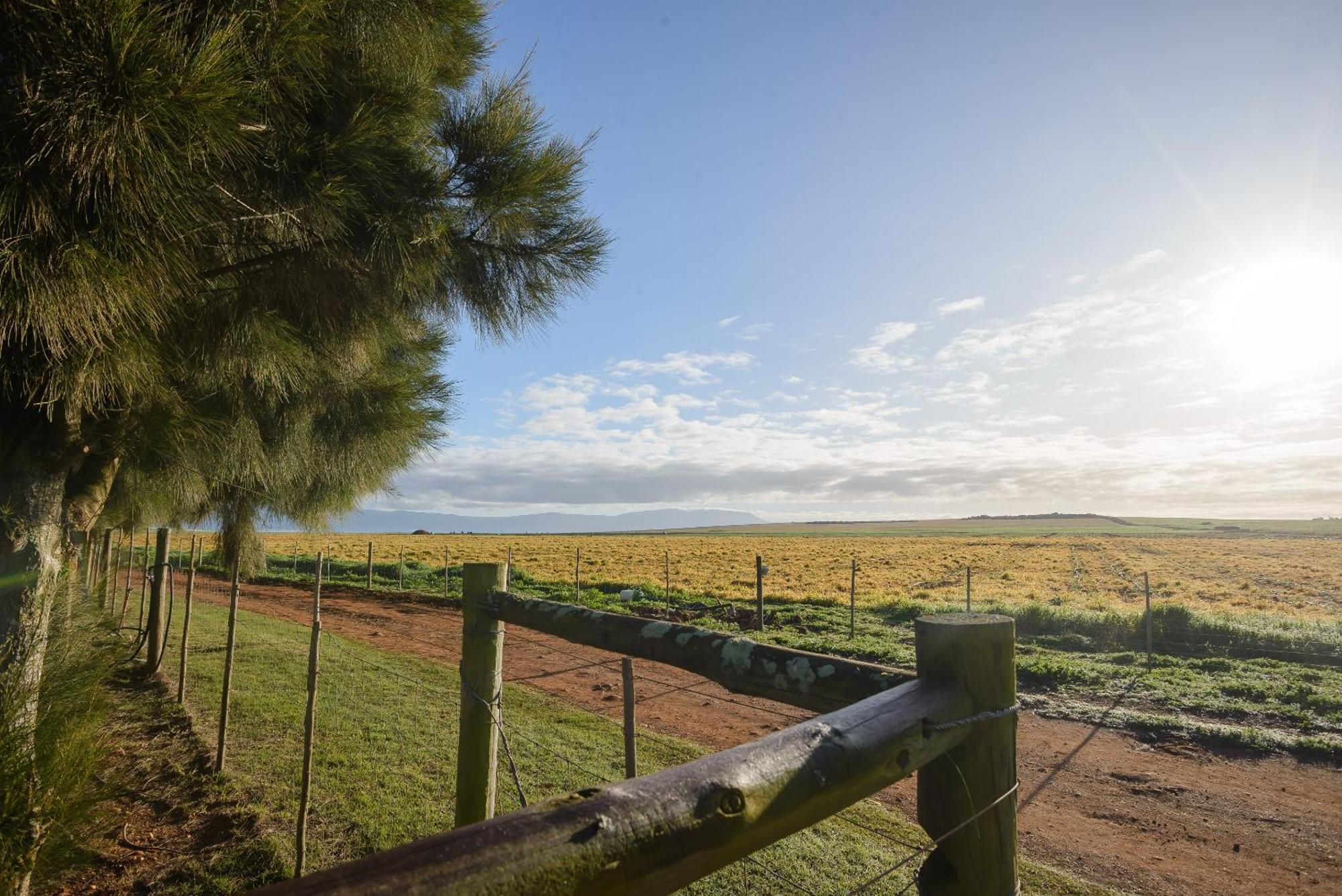Oorvloed Guesthouse Swellendam Dış mekan fotoğraf